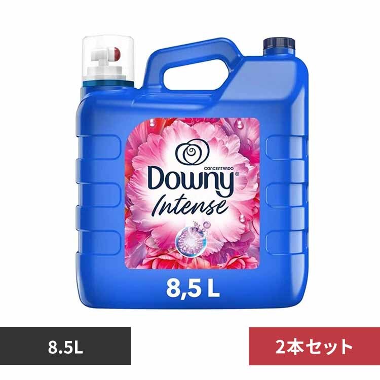 �y2�Z�b�g�z ���L�V�R�_�E�j�[ �A���}�t���[����  8.5L