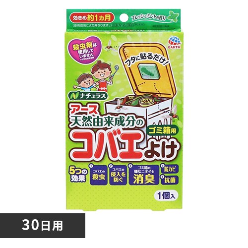 �A�[�X���� �R�o�G���Ȃ��A�[�X �S�~���p �t���b�V���~���g 30���p 