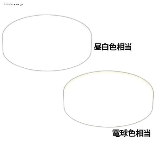 LED�V�[�����O���C�g LED ���^ 1750lm �d���F ���� �L�� �L�b�`�� ���ʏ� �N���[�[�b�g �Ɩ� SCL18L-E