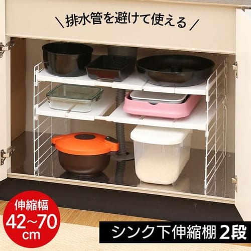 �V���N���L�k�I 2�i USD-2V �z���C�g