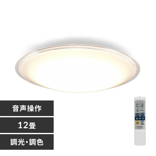 LED �V�[�����O���C�g 12�� ���� ���F �H��E�H���s�v �����R���t�� 5�N�ۏ� CEA-2212DLACKC