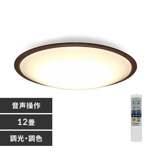 LED �V�[�����O���C�g 12�� ���� ���F �H��E�H���s�v �����R���t�� 5�N�ۏ� CEA-2212DLACKW