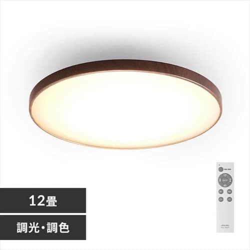 LED �V�[�����O���C�g 12�� ���� ���F �H��E�H���s�v �����R���t�� 1�N�ۏ� ACL-12DLMR
