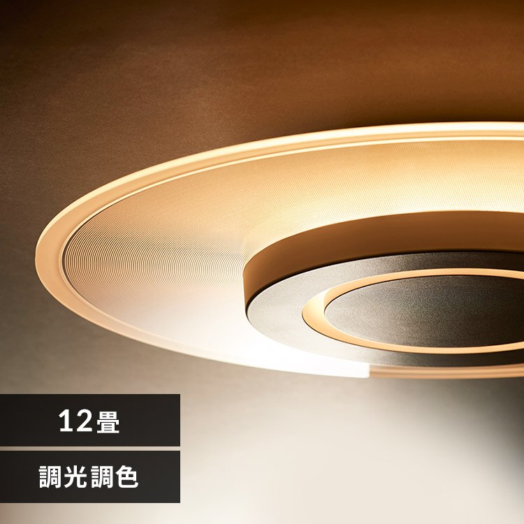 LED �V�[�����O���C�g 12�� ���� ���F �H��E�H���s�v �����R���t�� 5�N�ۏ� CEA-A12DLP