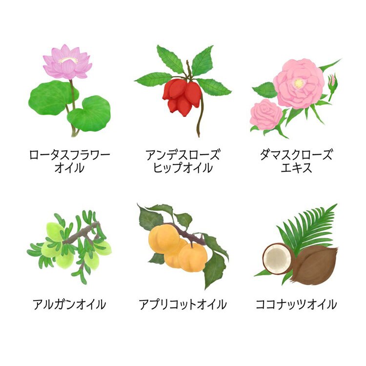 ブレンディスティック個包装ブレンディスティック紅茶ロイヤルミルクティーアッサム茶葉ポリフェノールマグカップエージーエフ「ブレンディR」スティック紅茶オレ30本(スティック)(個包装)AGF