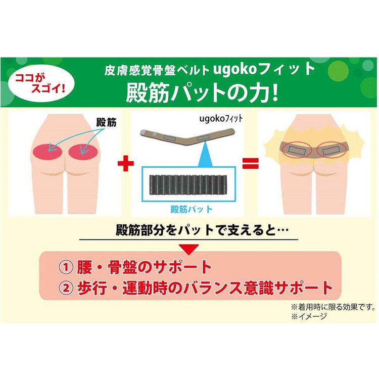 骨盤サポーター骨盤サポーターコルセットレディースメンズ男女兼用皮膚感覚骨盤ベルトugokoフィットnoble