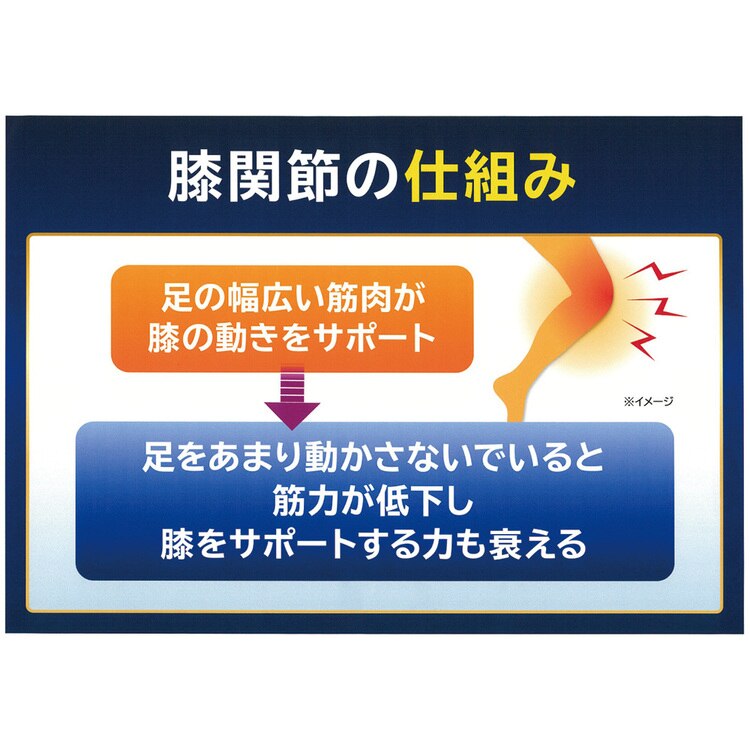 膝サポーターひざサポーター変形性膝関節症レディースメンズ男女兼用皮膚感覚カルヒザ2枚組noble