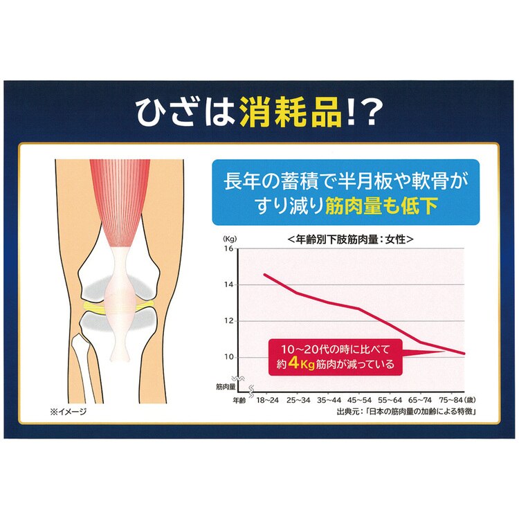 膝サポーターひざサポーター変形性膝関節症レディースメンズ男女兼用皮膚感覚カルヒザ2枚組noble
