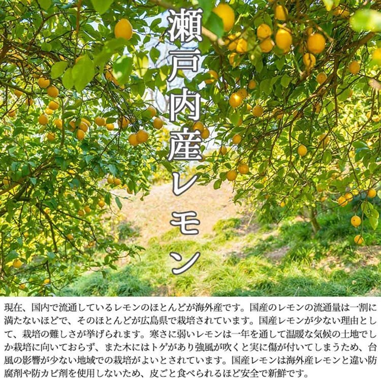 ゼリー瀬戸内レモン一口サイズ塩レモン熱中症対策夏レモンゼリー塩分補給個包装大容量塩レモンゼリー大容量50個入り天然生活