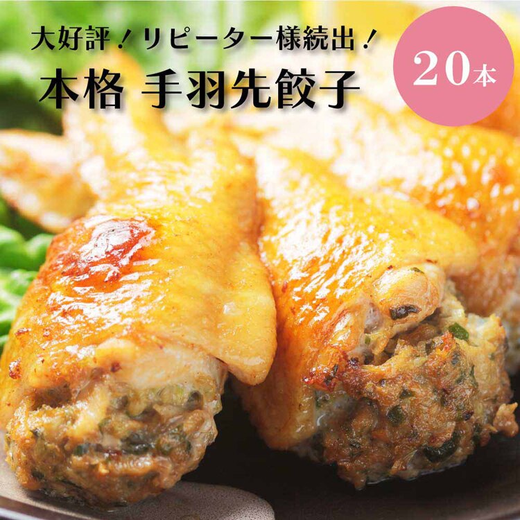 【20本】Tokka 手羽先餃子 【時間指定不可】【代引不可】【同梱不可】【プラザセレクト】