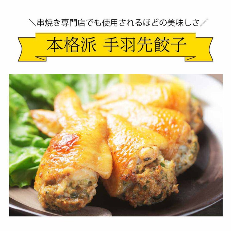 【30本】Tokka 手羽先餃子 【時間指定不可】【代引不可】【同梱不可】【プラザセレクト】