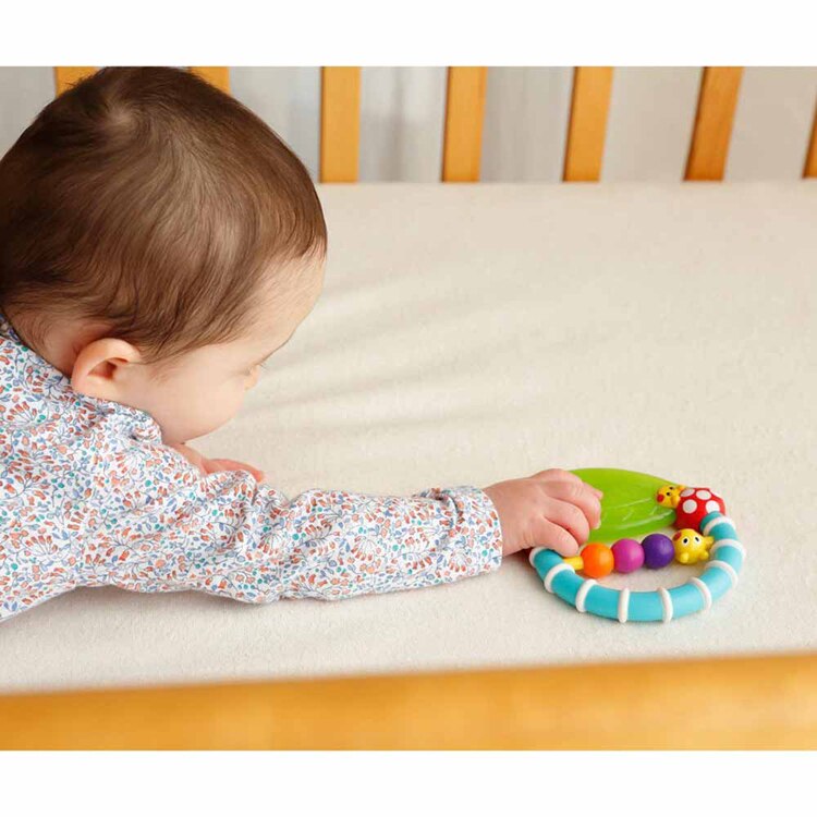 DADWAY カミカミみつばち/てんとうむし/あおむし TYSA80779 TYSA80777 TYSA80746 TYSA80678 【プラザセレクト】