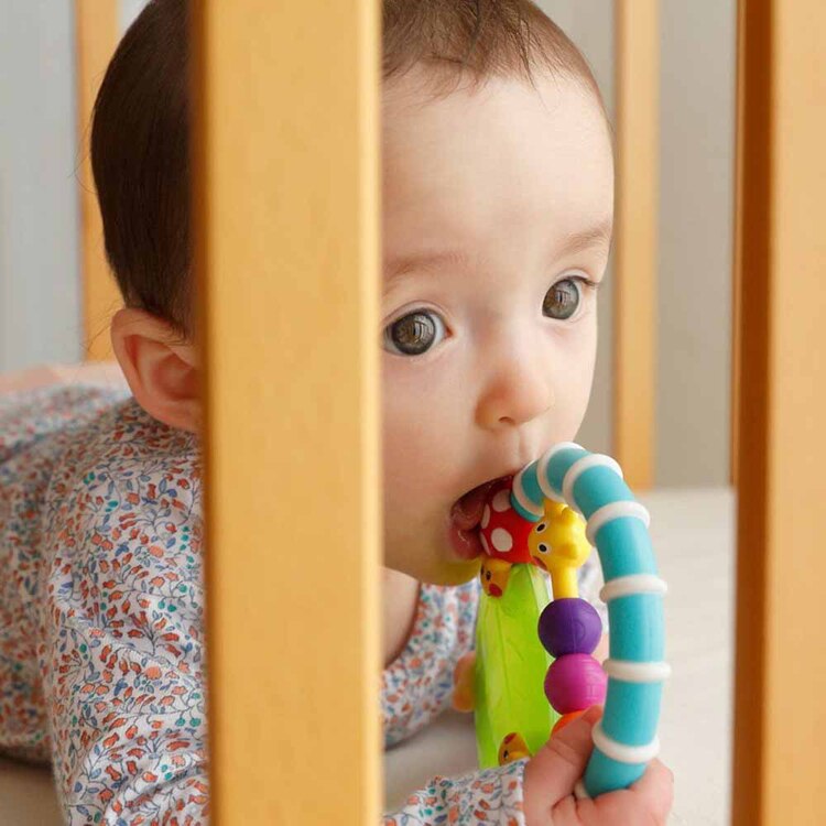 DADWAY カミカミみつばち/てんとうむし/あおむし TYSA80779 TYSA80777 TYSA80746 TYSA80678 【プラザセレクト】