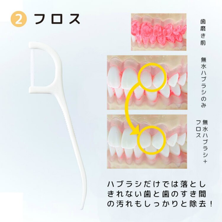 【2個セット】ヤマトエスロン 無水ハミガキセット 【プラザセレクト】