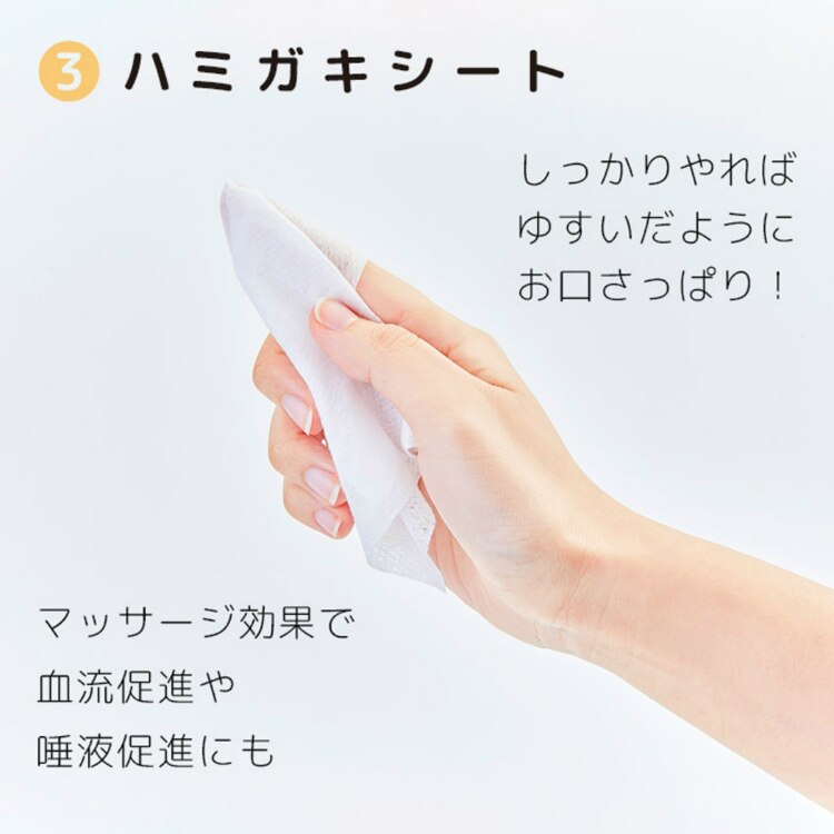 【4個セット】ヤマトエスロン 無水ハミガキセット 【プラザセレクト】