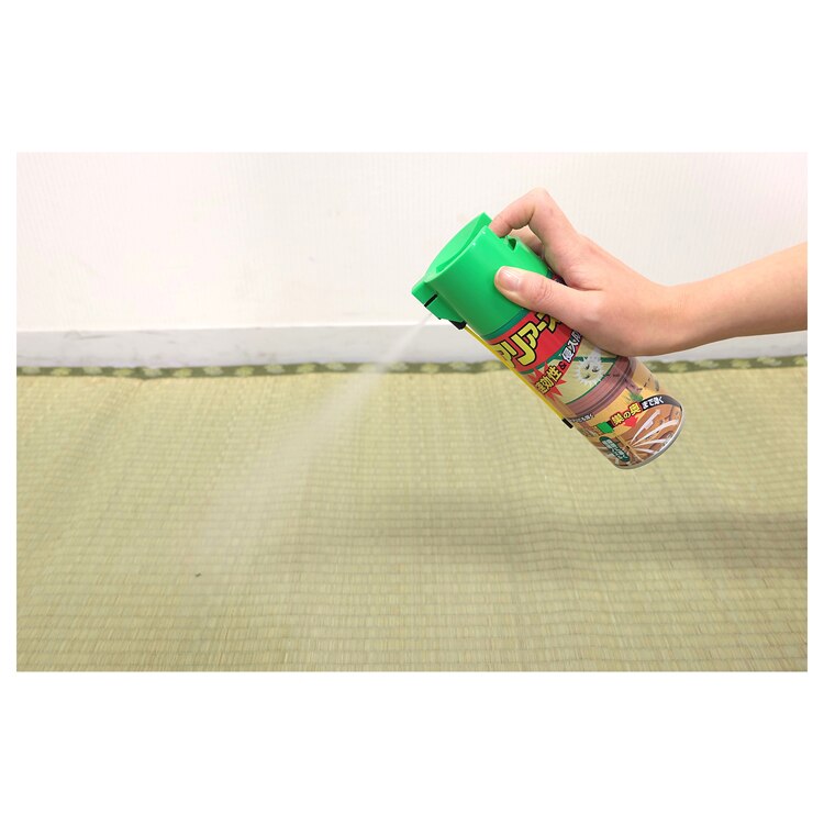 アース製薬 アリアース 300ml 【プラザセレクト】