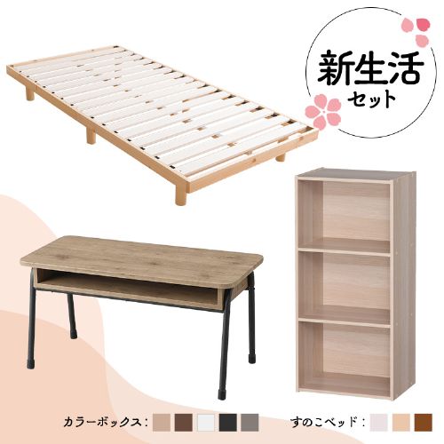 ���������Ƌ�Z�b�g 10 CX-3�^IWCT-800�^SRES �i�`�������E�i�`������