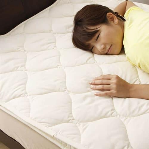 �t�����X�Y �E�H�V���u���E�[��100�� �x�b�h�p�b�g 10BP850-SIR   