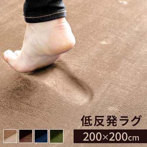 �ᔽ�����O 200�~200cm 95522 �l�C�r�[