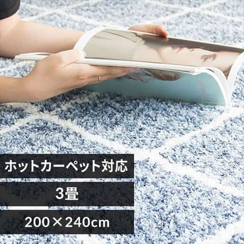 ���O �V���M�[ �􉽊w�� �W���K�[�h�D 200�~240cm JGDR-KIKA-2024 �l�C�r�[