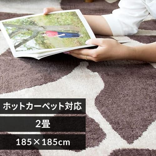 ���O �V���M�[ ���[�t�� �W���K�[�h�D 185�~185cm JGDR-REEF-1818 �u���E��