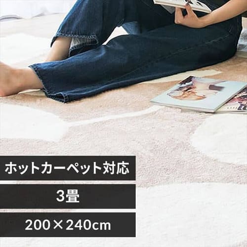 ���O �V���M�[ ���[�t�� �W���K�[�h�D 200�~240cm JGDR-REEF-2024 �x�[�W��