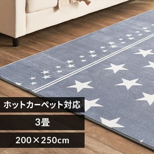 ラグ フランネルラグ 抗菌防臭 防ダニ加工 200cm×250cm スターグレー FNR-RC-2025