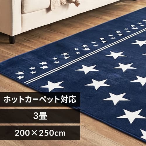 ラグ フランネルラグ 抗菌防臭 防ダニ加工 200cm×250cm スターブルー FNR-RC-2025