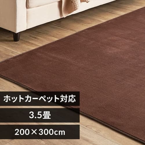 ラグ フランネルラグ 抗菌防臭 防ダニ加工 200cm×300cm ブラウン FNR-RC-2030