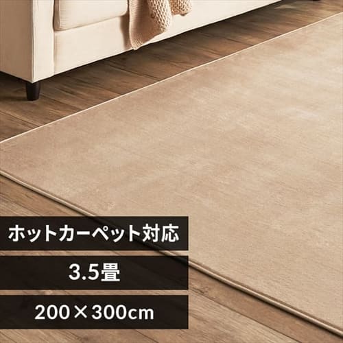 ���O �t�����l�����O �R�ۖh�L �h�_�j���H 200cm�~300cm �x�[�W�� FNR-RC-2030