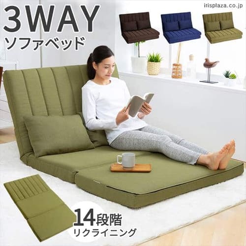 2�l�|��3WAY�\�t�@�x�b�h LSB-100 �_�[�N�O���[��