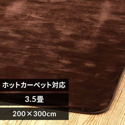 ���O ������ 200�~300cm �u���E��