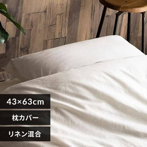 ���J�o�[ ���l������ �A�C�{���[