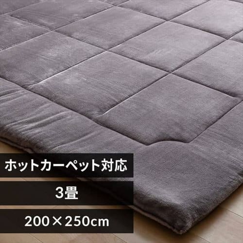 ���O �t�����l�� ���Ɍ� 200�~250cm �O���[ 