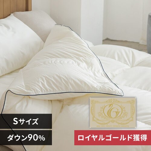 �H�ѕz�c WDD90�� 0.7kg �V���O�� ���y�� �A�C�{���[ �y������s�z�y�O�����s�z