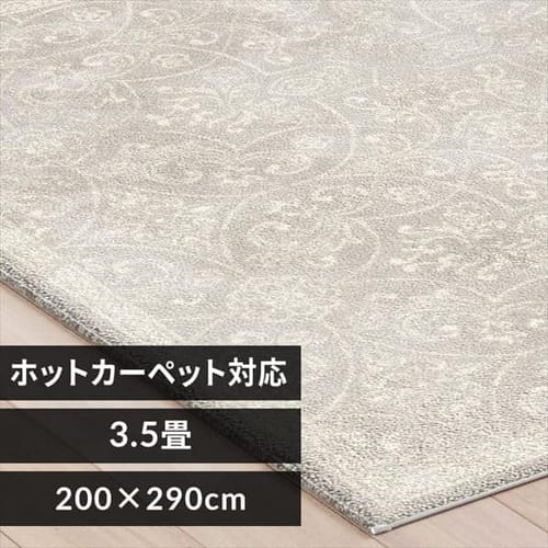 ���O �E�B���g���D���O 200cm�~290cm �t�����`�V���r�[�� ���C�g�O���[