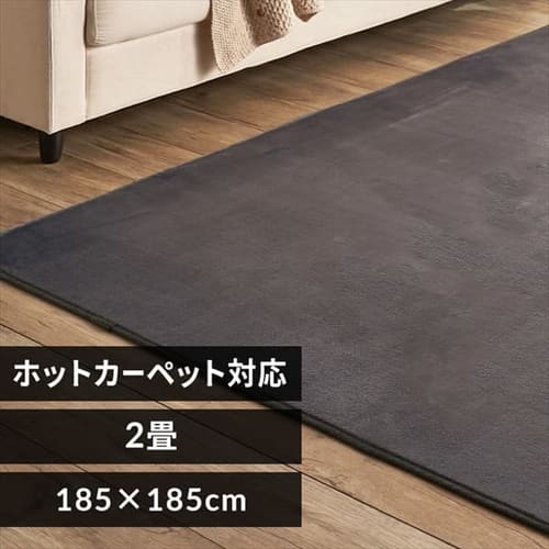 ���O �t�����l�����O �R�ۖh�L �h�_�j���H 185cm�~185cm 2�� �_�[�N�O���[ FNR-RC-1818