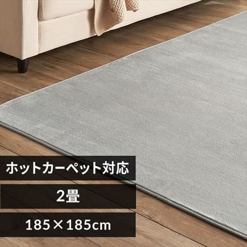 ���O �t�����l�����O �R�ۖh�L �h�_�j���H 185cm�~185cm 2�� ���C�g�O���[ FNR-RC-1818