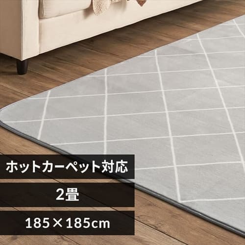 ラグ フランネルラグ 抗菌防臭 防ダニ加工 185cm×185cm 2畳 ダイヤグレー FNR-RC-1818
