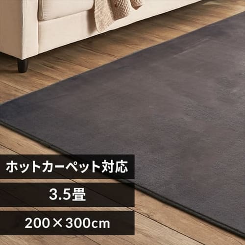 ラグ フランネルラグ 抗菌防臭 防ダニ加工 200cm×300cm ダークグレー FNR-RC-2030