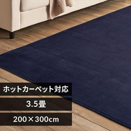 ラグ フランネルラグ 抗菌防臭 防ダニ加工 200cm×300cm ネイビー FNR-RC-2030