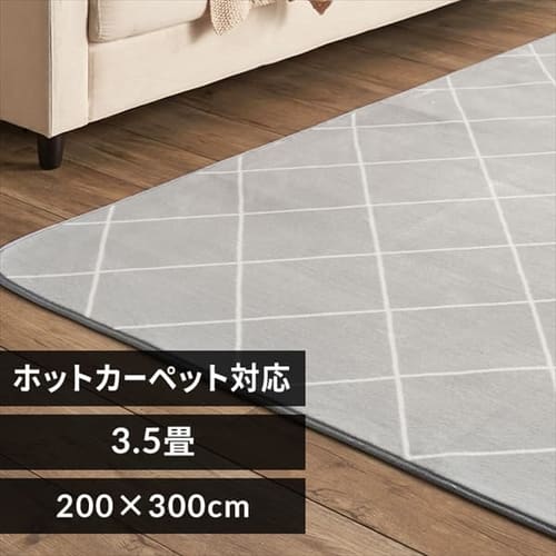 ラグ フランネルラグ 抗菌防臭 防ダニ加工 200cm×300cm ダイヤグレー FNR-RC-2030