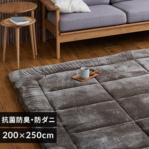 ���O ���Ɍ����O 5�w�\�� �Ɍ�6cm �R�ہE�h�L �h�_�j���H 200cm�~250cm ���J�u���E��