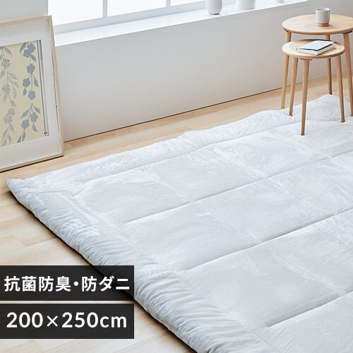 ���O ���Ɍ����O 5�w�\�� �Ɍ�6cm �R�ہE�h�L �h�_�j���H 200cm�~250cm �z���C�g