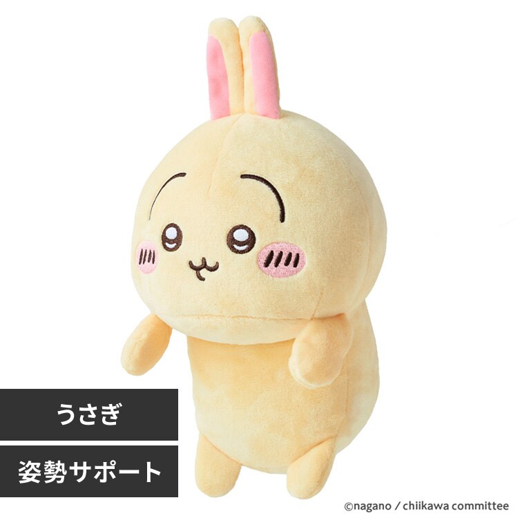 �ӂ�΂邸 �ʂ������ ������ �p�����P �p���T�|�[�g �p������ VRT42899