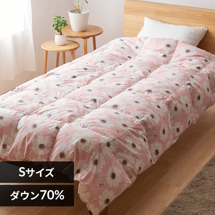 �_�E���P�b�g DK-25012 �s���N�y���Ԏw��s�z�y����s�z�y�����s�z�y�����z