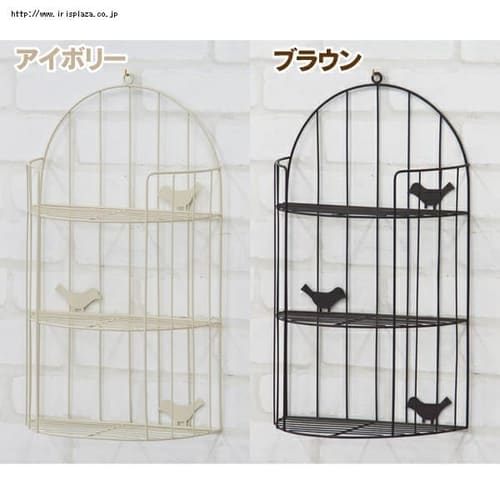 �o�[�h���b�N AKB-404 �A�C�{���[ �y�����z