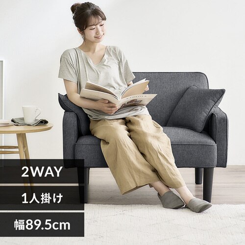 1�l�|�����N���C�j���O�\�t�@ RSB-1S �_�[�N�O���[