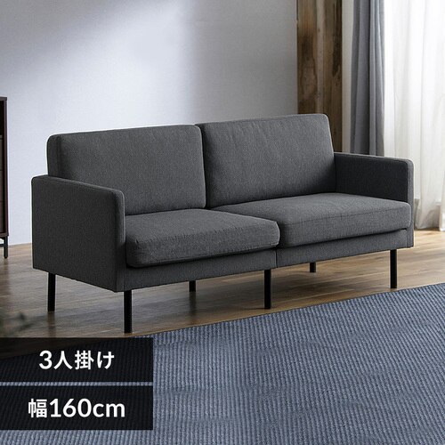 3�l�|���|�P�b�g�R�C���\�t�@ PCS-3S �_�[�N�O���[