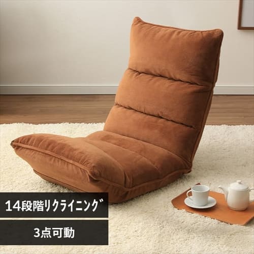 ���֎q �ᔽ�� ZCR-2 �u���E��